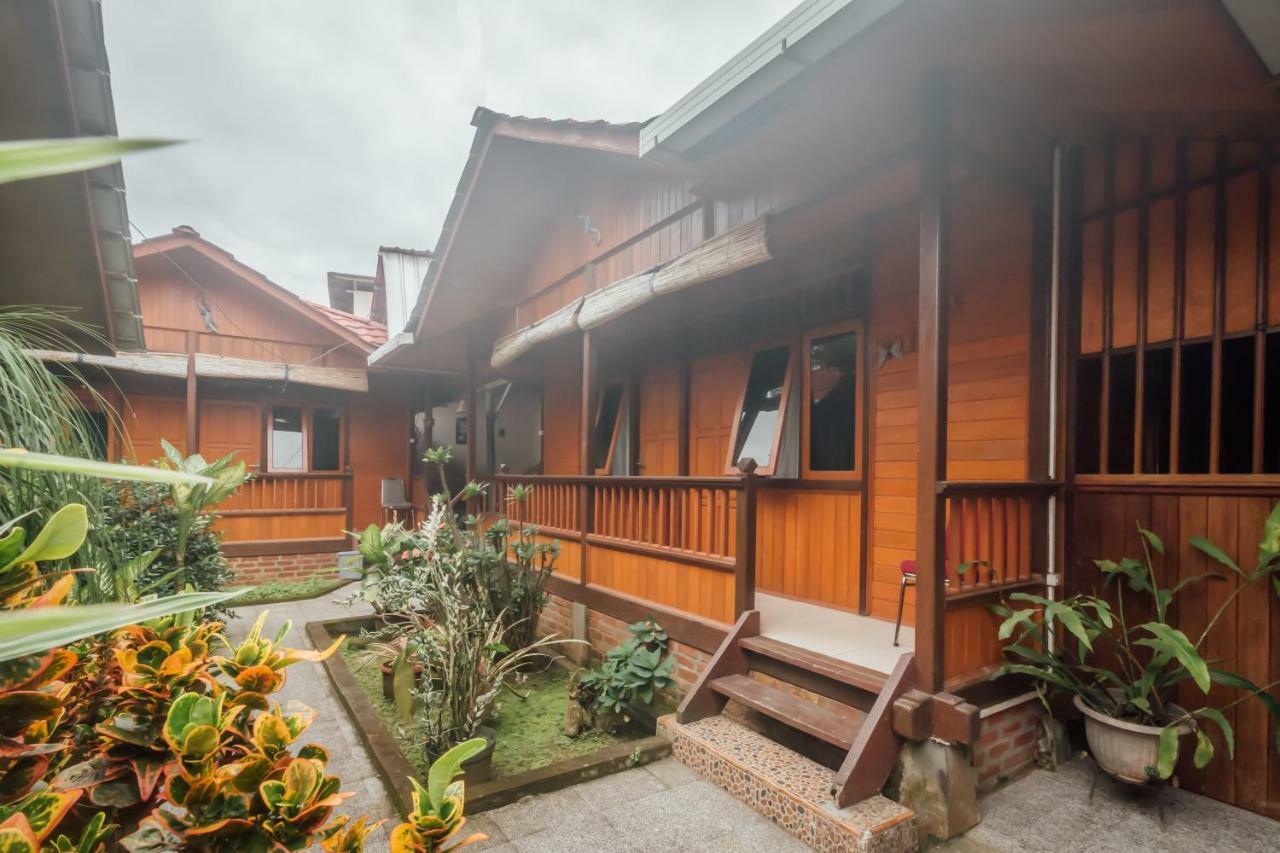 Vaccinated Staff - Oyo 1300 Crecia Guest House Hatu Экстерьер фото